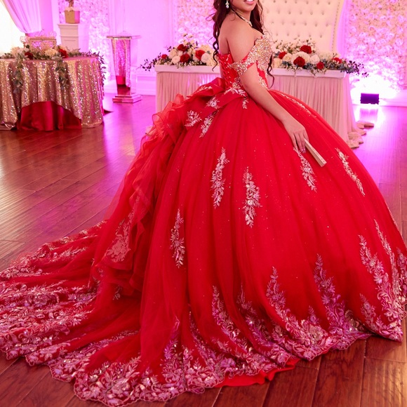 Custom made quinceañera dress - Picture 3 of 5